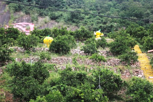 ��h�|���WԺ��С�ȹ��¡����`ꠣ�̽��߸Ϫ�����w���ں��I�B�������L�����B�����°lչ