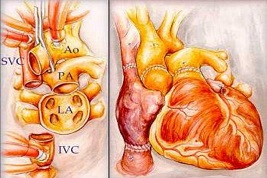 �y��ǰ�У���۔[�� �������[���ˡ�������`꠳ɹ��e�k���K��I֪�R���όW�����