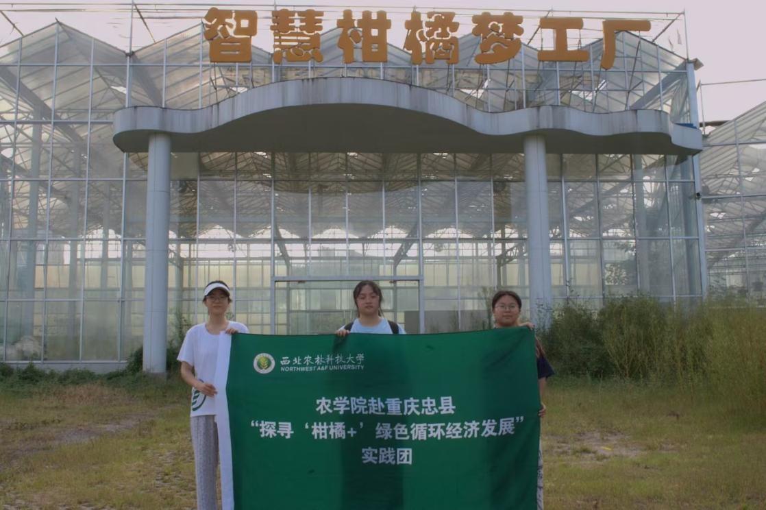 �����r�ֿƼ���W:�{�С�����+���a�I �����l�����d�lչ​