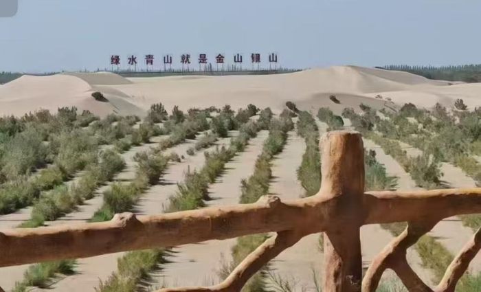 �ഺ����ɳ�����G�������ƌW�c���g�WԺ���������l���`�F̽�����w�ᡰ���B���������fͬ�lչ֮· ����ľ��Wо������ɳ�����G�����B���\ ���B���`�F