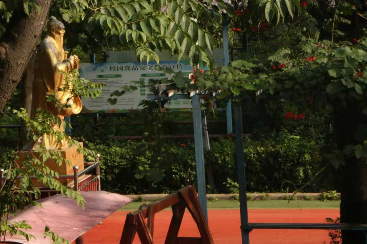 ���c������Ͷ���l������lչ