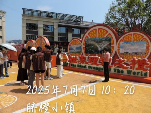 �Ⱦ͉��룺һ���l�����d�ġ����w����������С�ȹ����`�̽��Ě�Ȯa�I�ںϰlչ�ĳɹ�ģʽ