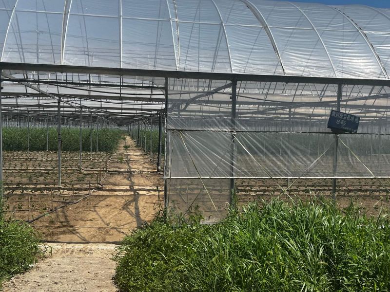 �ǻ��r�I�����l�����d���߲˻����{�мo��