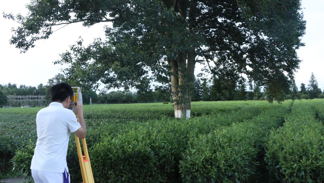 ��W����΢���Ĳ�@���F���^����������