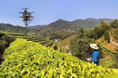 ����������W�����F��_���o�˙C�ɲ��¼oԪ