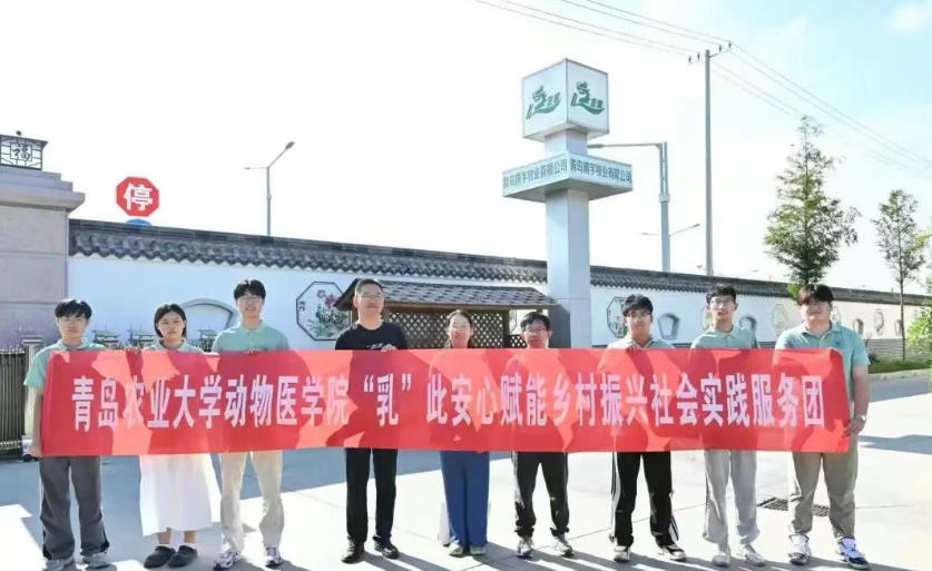 ���o�l�� ���� ���������u�Є��߷������������u�r��W�����ڌ��`�o��