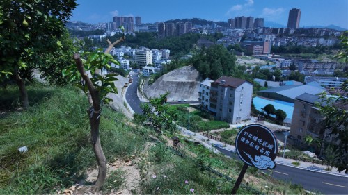 ��h�|���WԺС�ǹ���������`�̽��Ě��С患��Ƽ����I��Ě���h�����l�����d·����