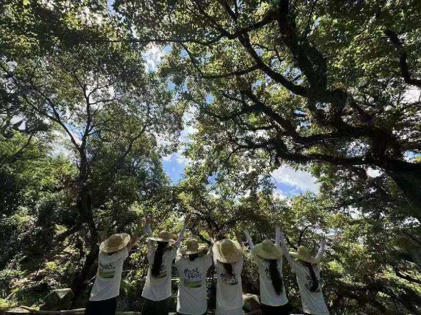 Ȫ�ݽ��Q����ϵ�����l���sʢ�� �ഺ�V�С� �����l����������`