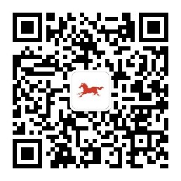 ����н�������ǹ⡱